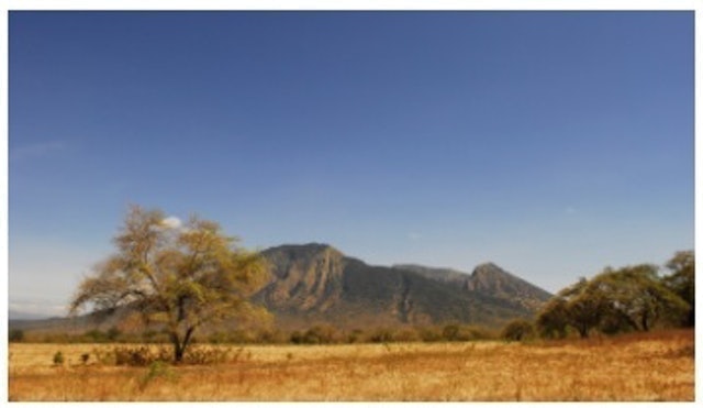 Taman Nasional Baluran 2