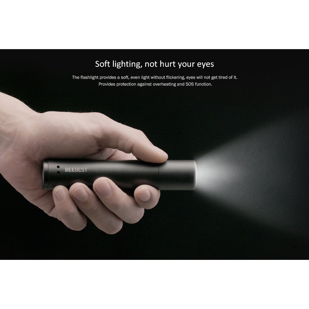 BEEBULL Engineering Beebest Flashlight FZ101