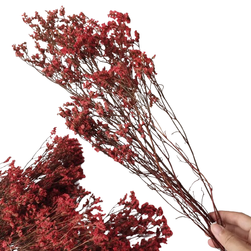 10 Rekomendasi Preserved Flowers Terbaik  3