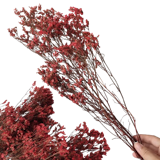 10 Rekomendasi Preserved Flowers Terbaik 3