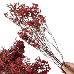 Preserved Limonium