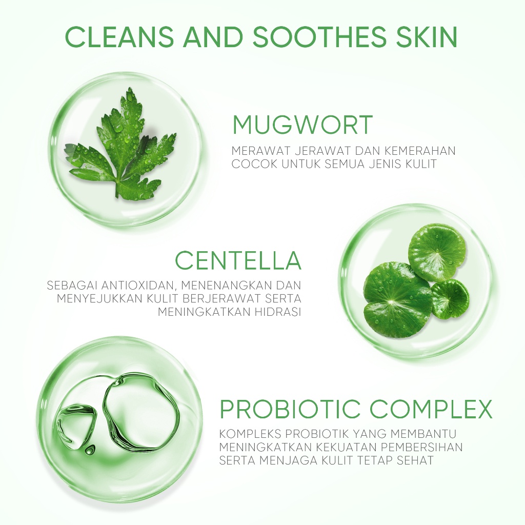 SKINTIFIC Mugwort Purifying Micellar Water