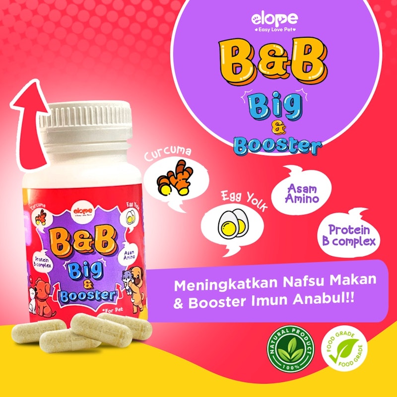 ELOPE Big & Booster 2
