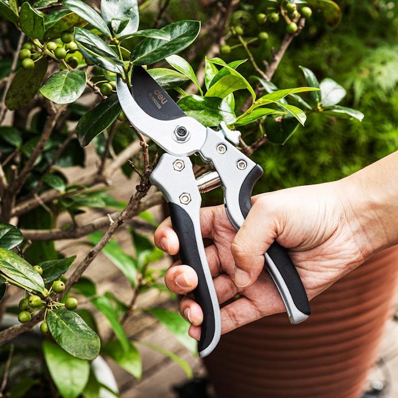 Deli Gardening Shear 8" 2