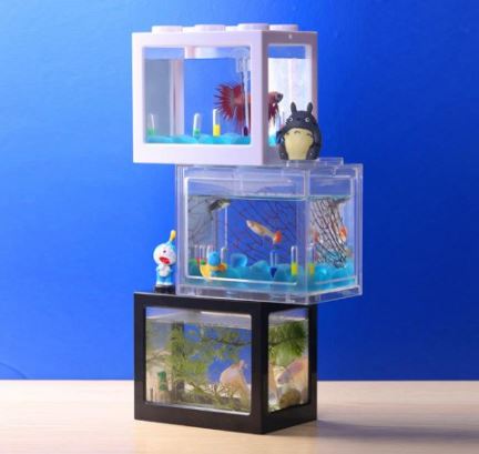 10 Aquarium Cupang Terbaik - Ditinjau oleh Aquascaper (Terbaru Tahun 2026) 1
