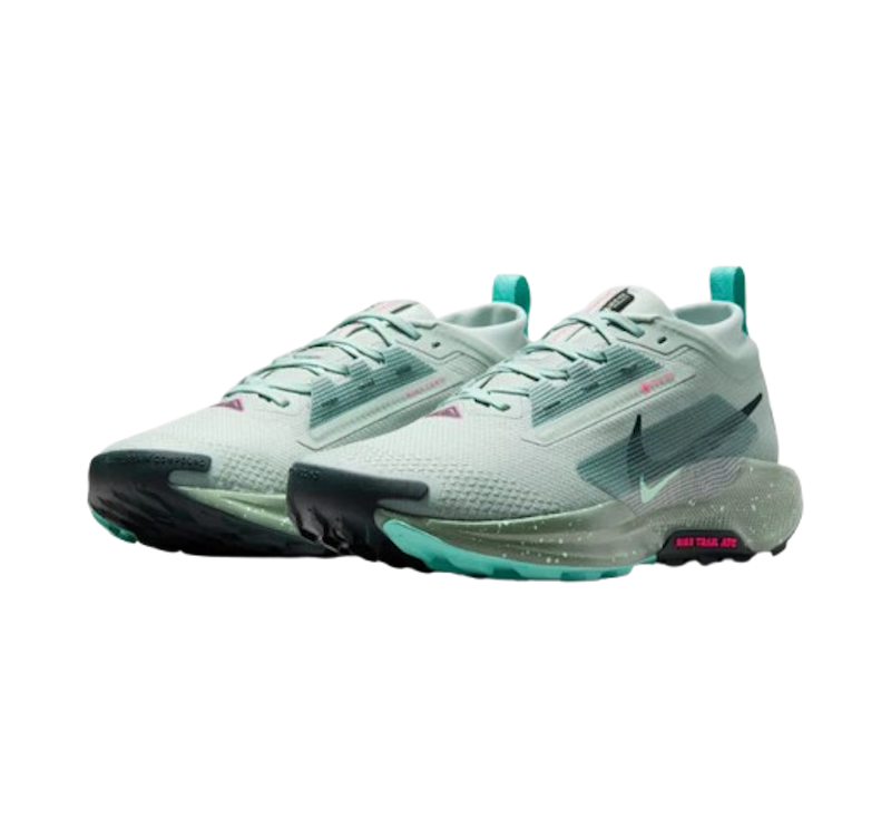 Men's Pegasus Trail 5 GORE-TEX 1