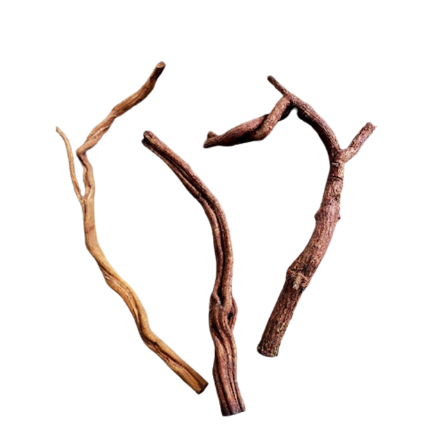 Kayu Santigi Laut Karang