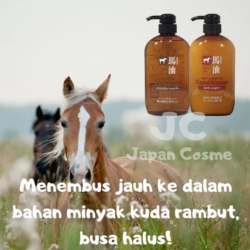 Kumano Yushi Horse Oil Shampoo 3