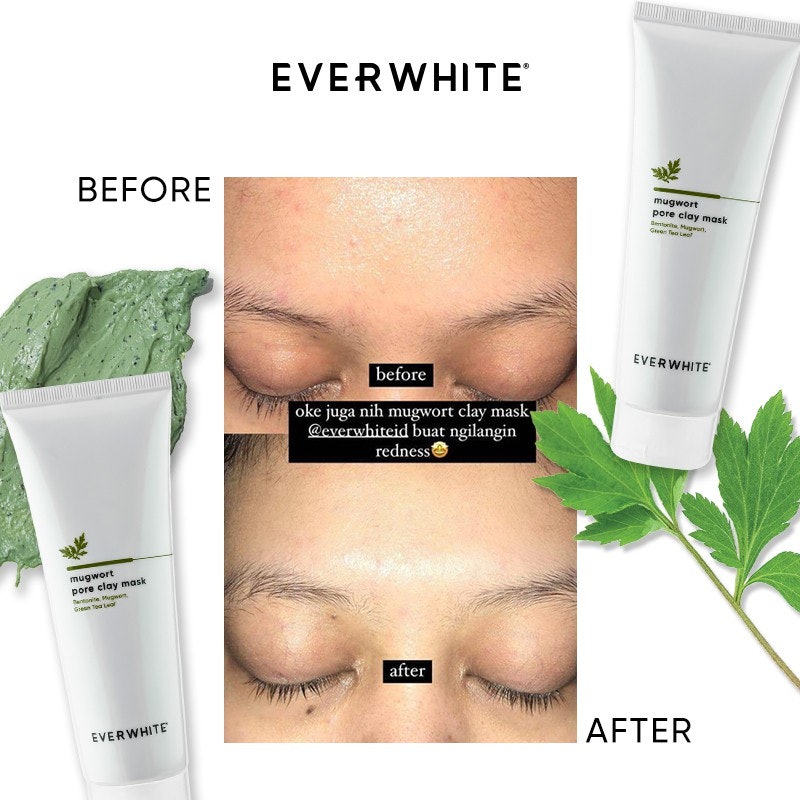 Mugwort Pore Clay Mask 4