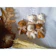 Gantungan Kunci Boneka Pita 1