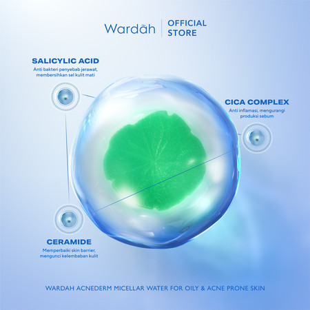  Paragon Technology and Innovation Wardah Acnederm Acne Care Micellar Water