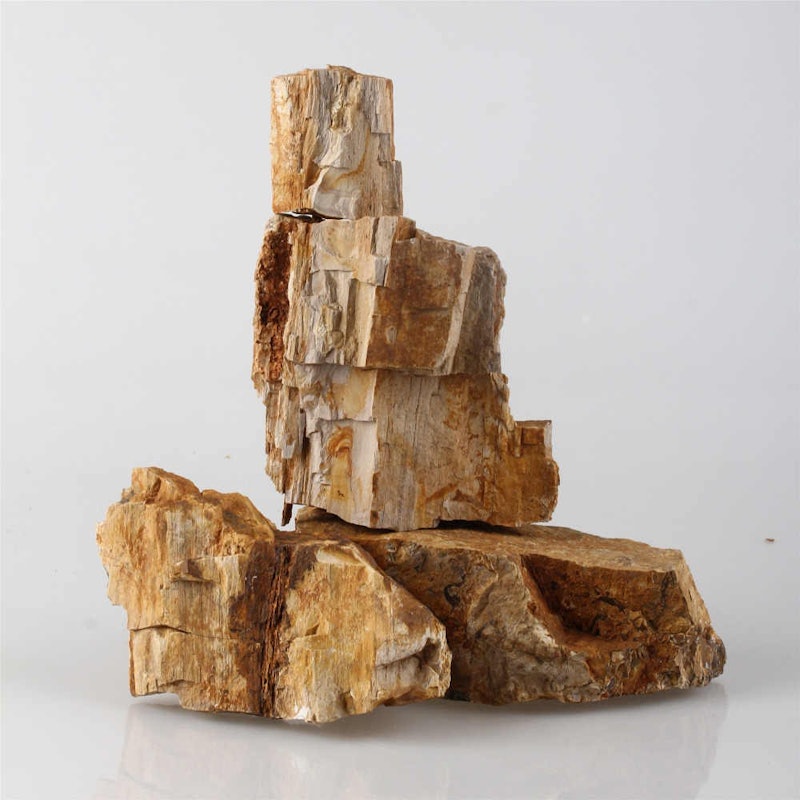 Batu Fosil Kayu 3