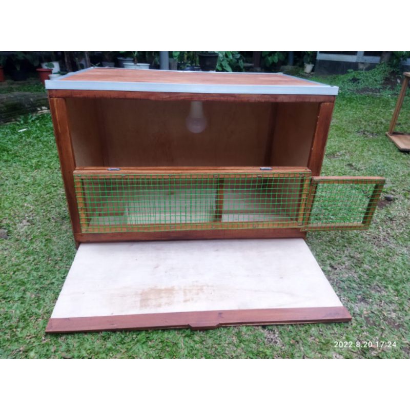  Kandang Anak Ayam Petelur DOC