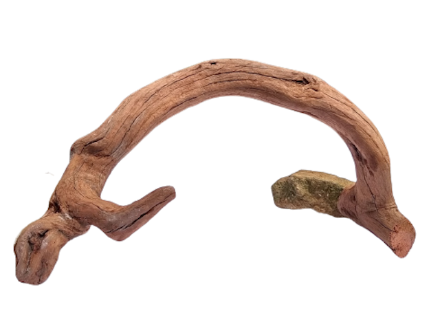 Kayu Santigi Aesthetic Size S