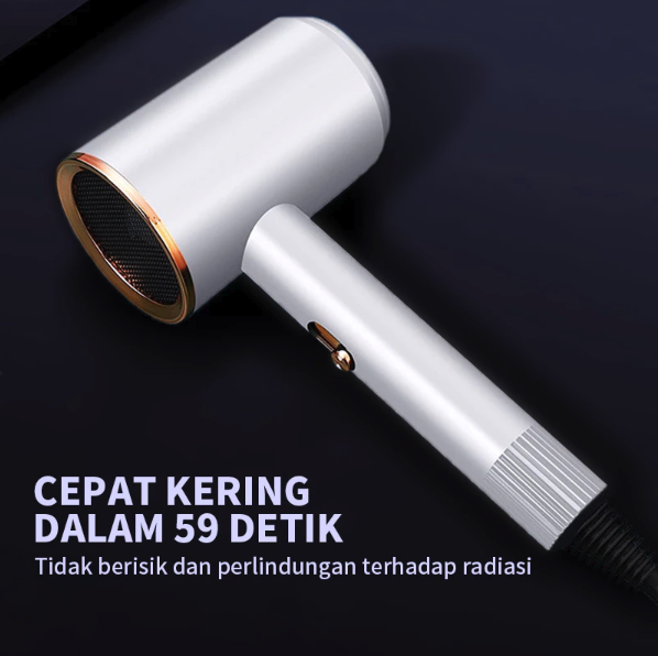 GM Bear Hair Dryer P0281