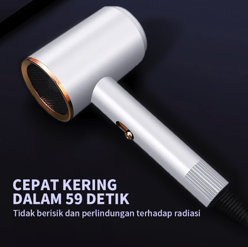 GM Bear Hair Dryer 2