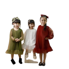 Saoirse's Zelia Tulle Dress