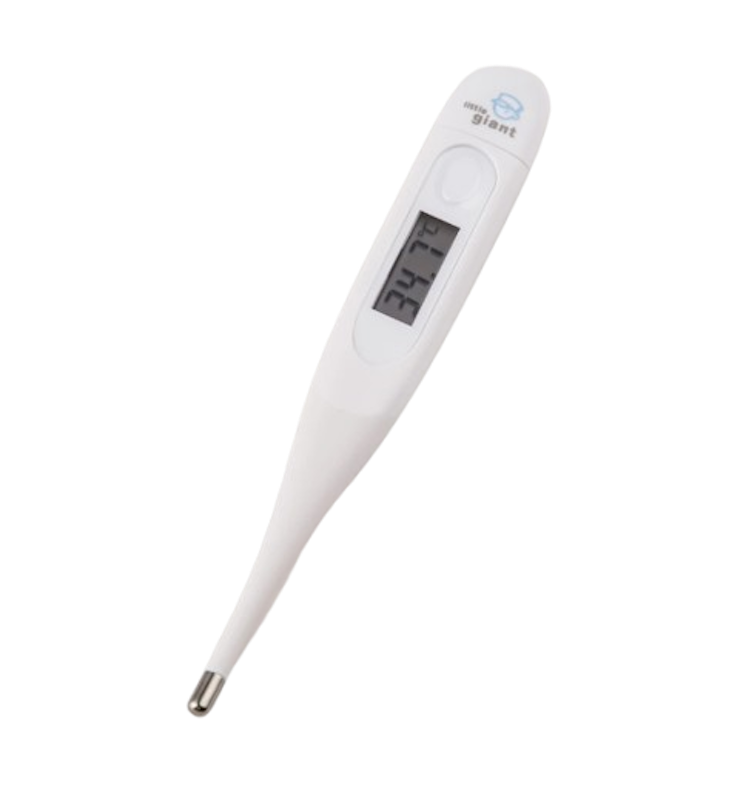 Little Giant 10 Second Digital Thermometer 1