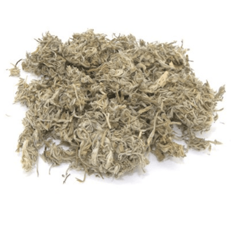 Mian Yin Chen Hao Artemisia Wormwood