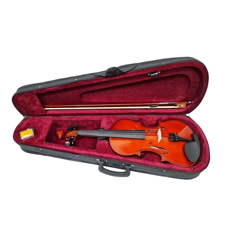 Vienna Biola Akustik 5