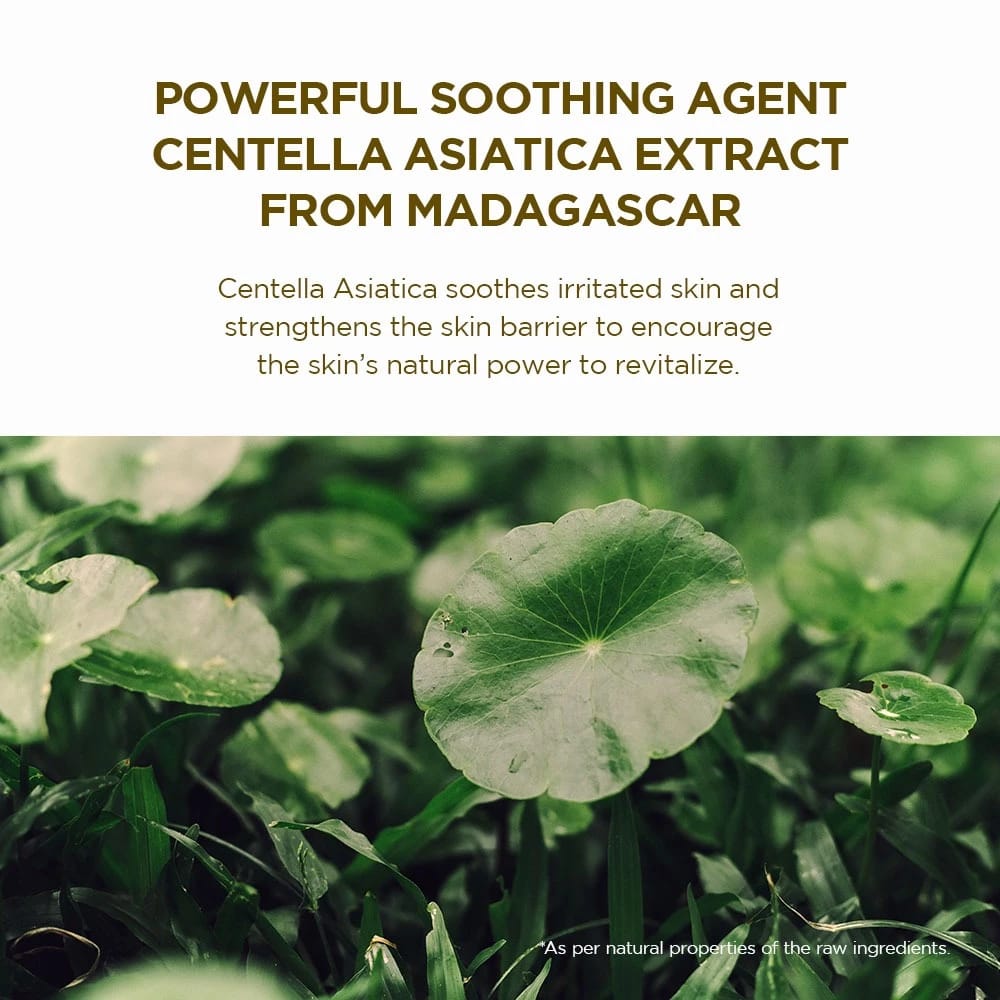 SKIN1004 SKIN1004 Madagascar Centella Watergel Sheet Ampoule Mask