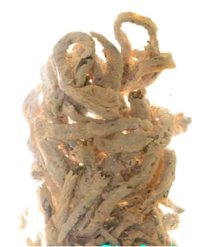 Yu Sri Keripik Belut Goreng