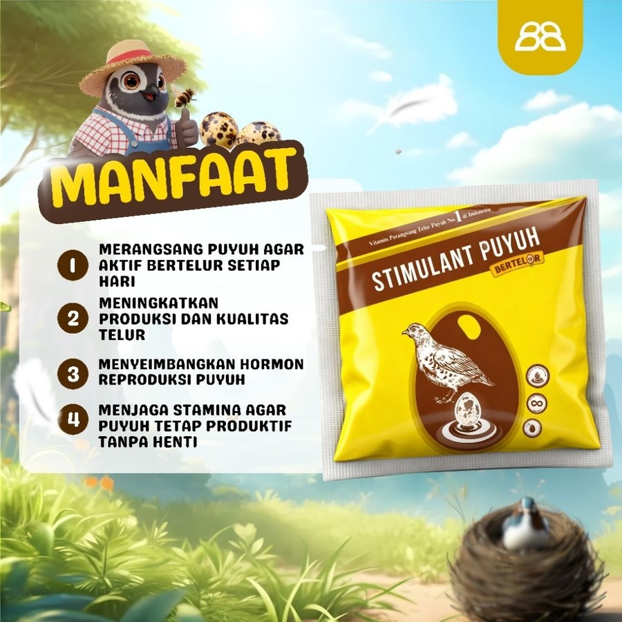 Stimulant Puyuh Bertelur 50gr 3