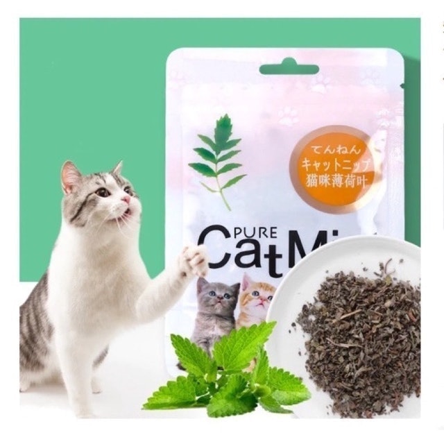 Pawsitive Pure Cat Mint Powder 