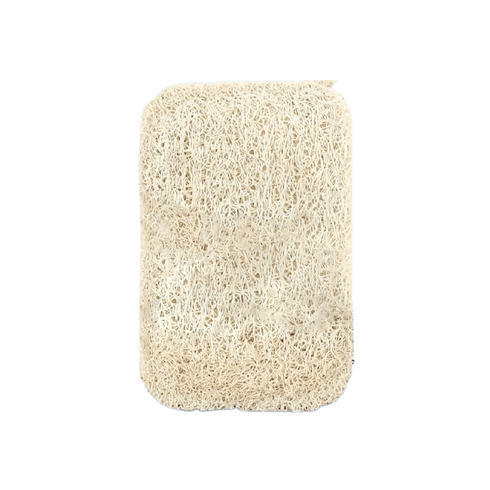 ZOLELE Sabut Cuci Piring Spons Loofah 