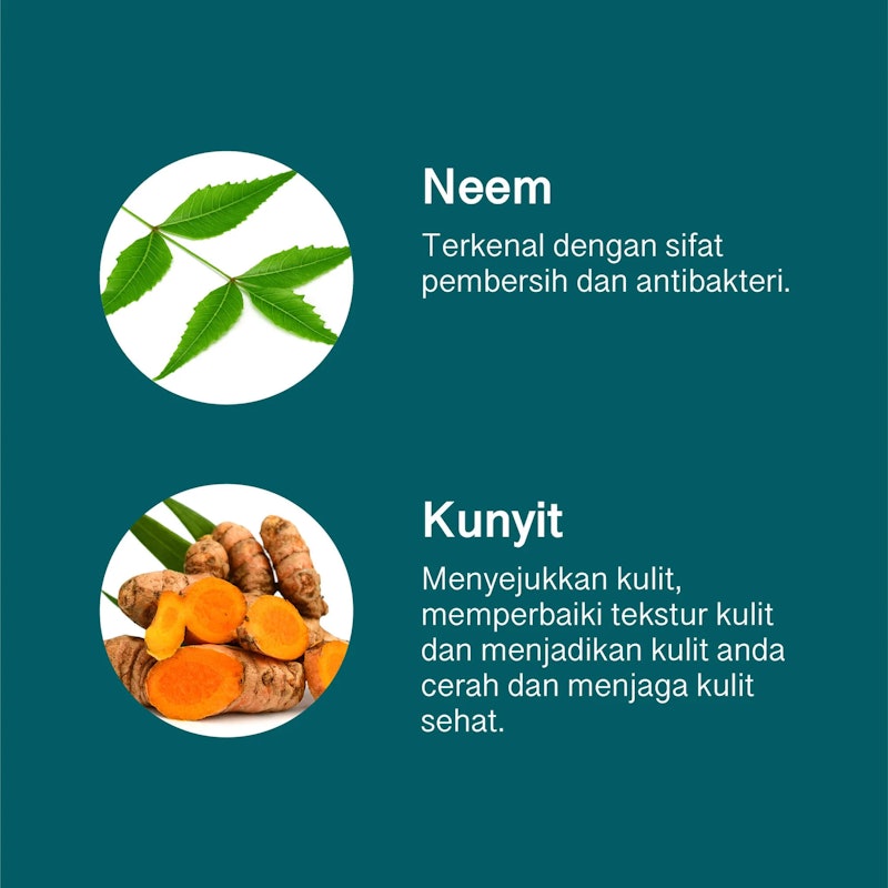 Purifying Neem Face Mask 5