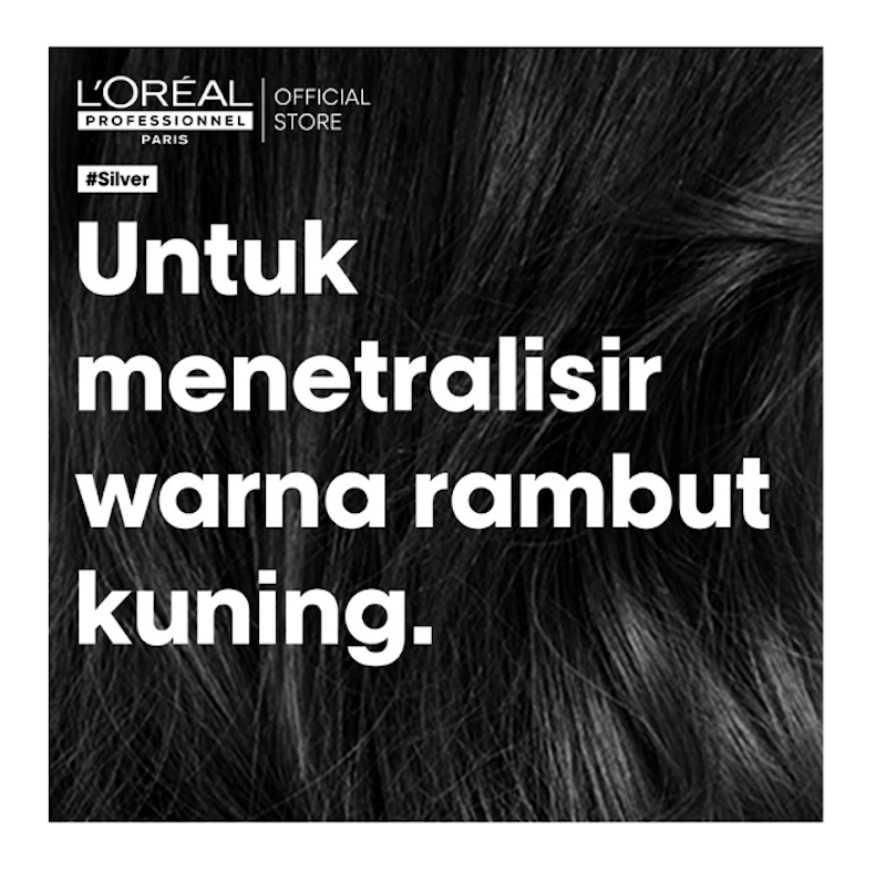 Serie Expert Silver Shampoo 4