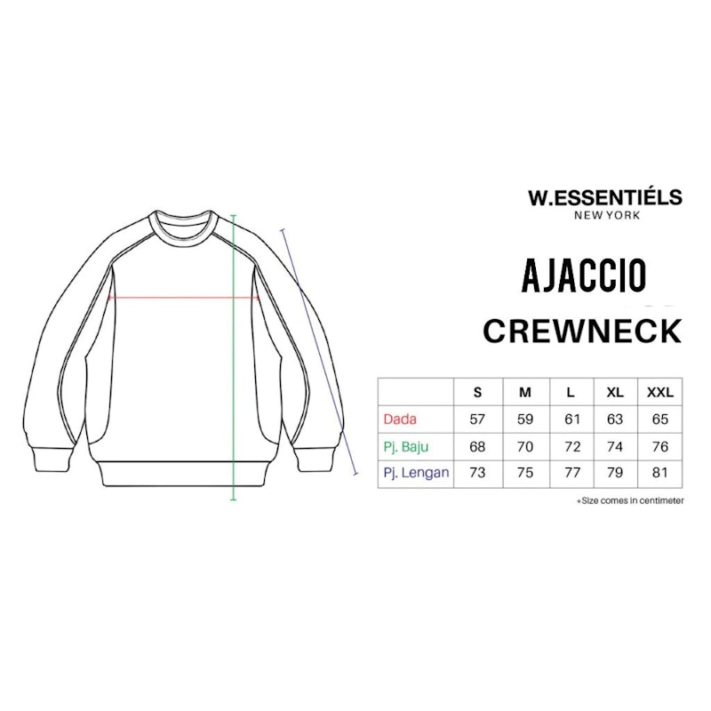 W.Essentiels Sweater Ajaccio Crewneck Grey 3