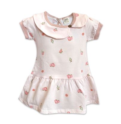 Lily Dress 1