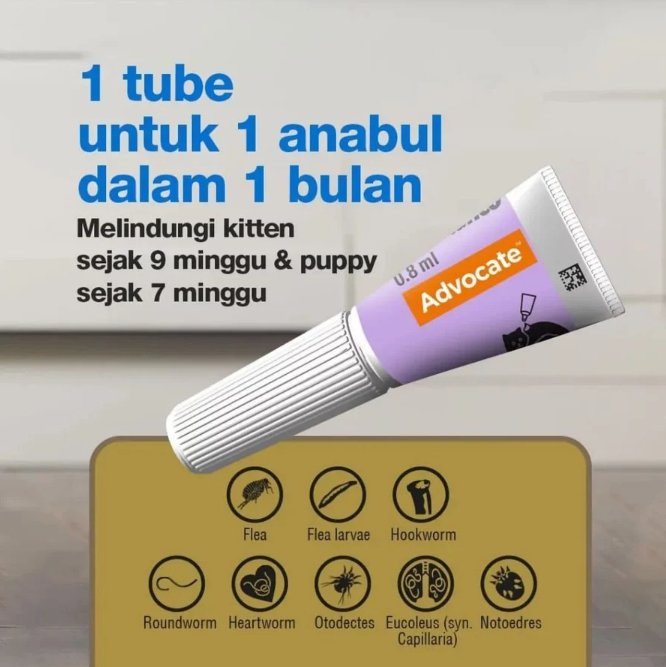 Bayer Advocate for Large Cat 4-8 kg