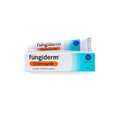 Fungiderm