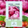 Panda Farm Benih Biji Bawang Merah 1