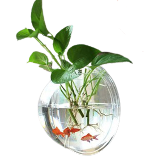 Aquarium Tempel Bentuk Bulat untuk Tanaman dan Ikan Cupang