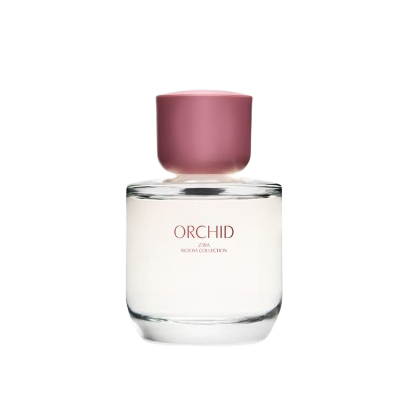 Favourite Perfumes Perfume Zara Teahupoo Eau De Parfum MPF