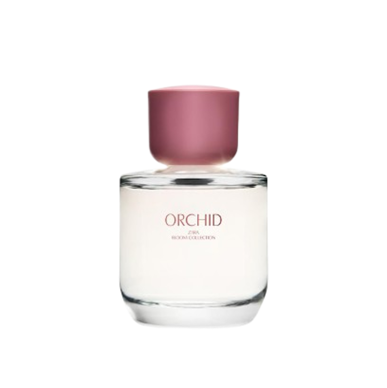 Favourite Perfumes Perfume Zara Teahupoo Eau De Parfum MPF