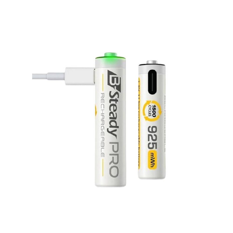 Brica B-Steady PRO AAA Li-Ion Rechargeable Battery 1