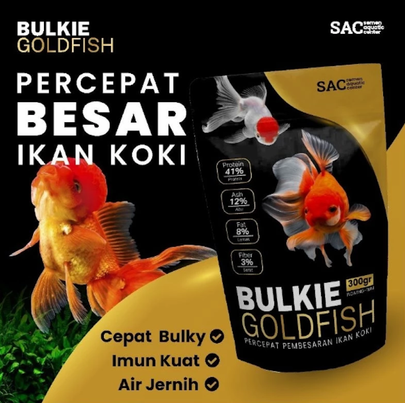 SAC Bulkie Goldfish 2