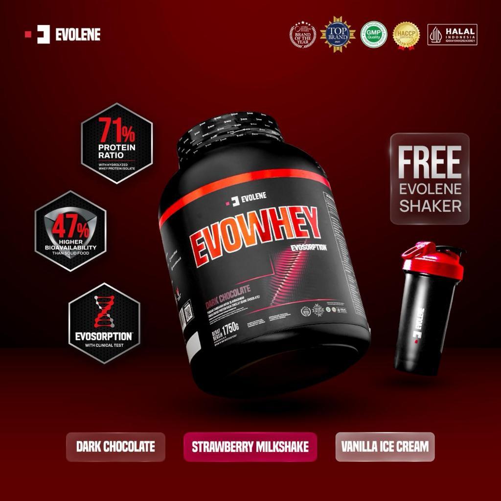 Anugrah Inti Makmur Indonesia Evolene EvoWhey Evosorption Dark Chocolate