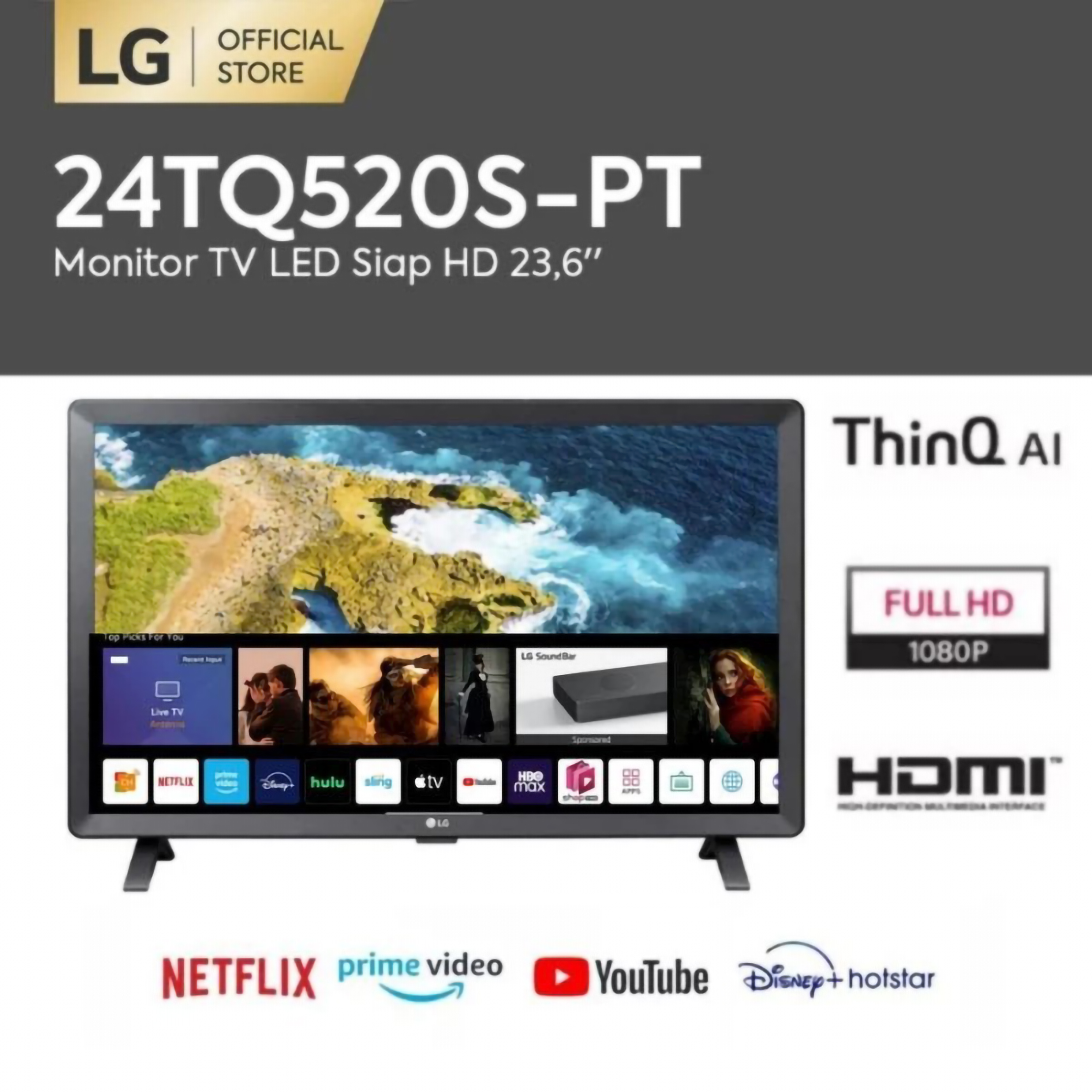 LG Electronics LG LED Smart TV  24TQ520S-PT