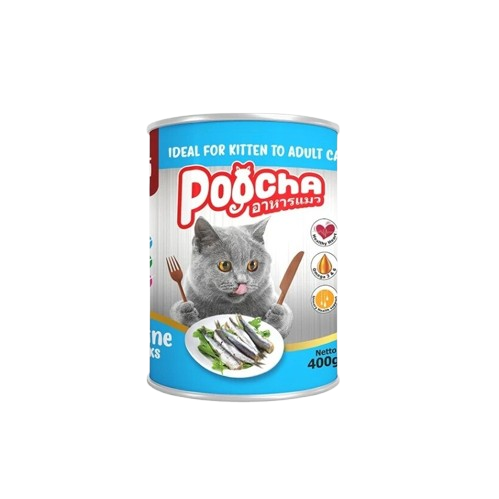 10 Rekomendasi Makanan Kucing Tipe Basah Terbaik  [Ditinjau oleh Veterinarian]  2