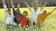 ROMP, Rakeysh Omprakash Mehra Pictures, UTV Motion Pictures Rang De Basanti 1