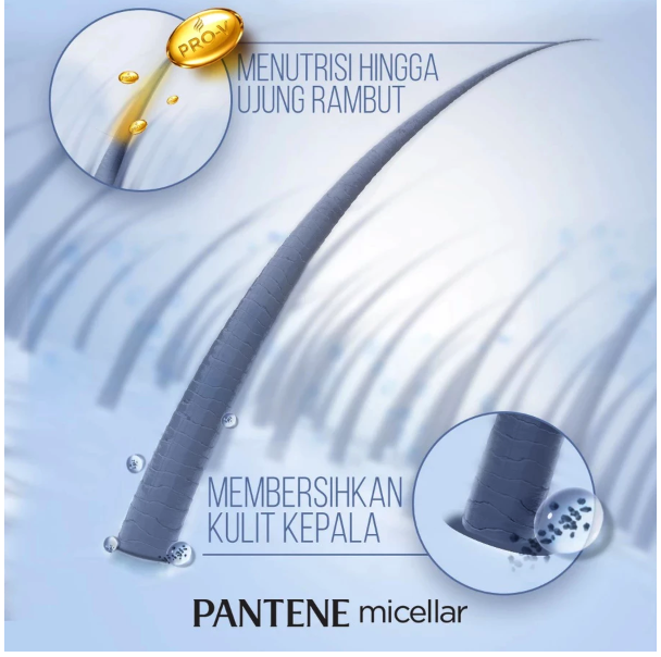 Procter & Gamble Pantene Micellar Detox & Purify Algae Extract Scalp Shampo