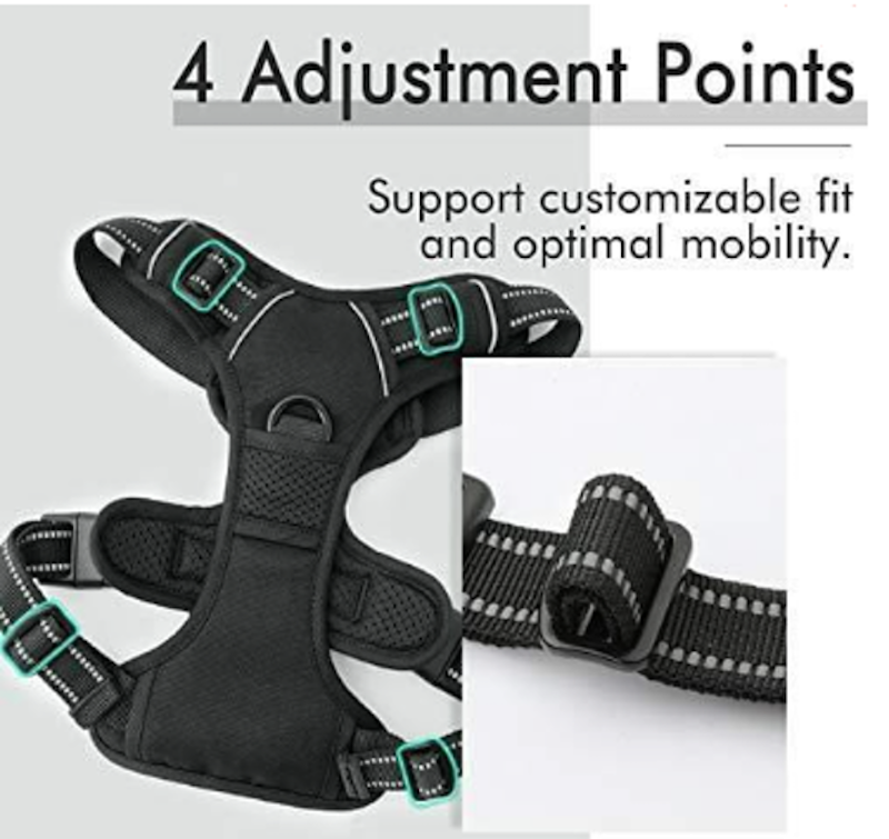 No Pull Dog Harness with 2 Leash Clips 5