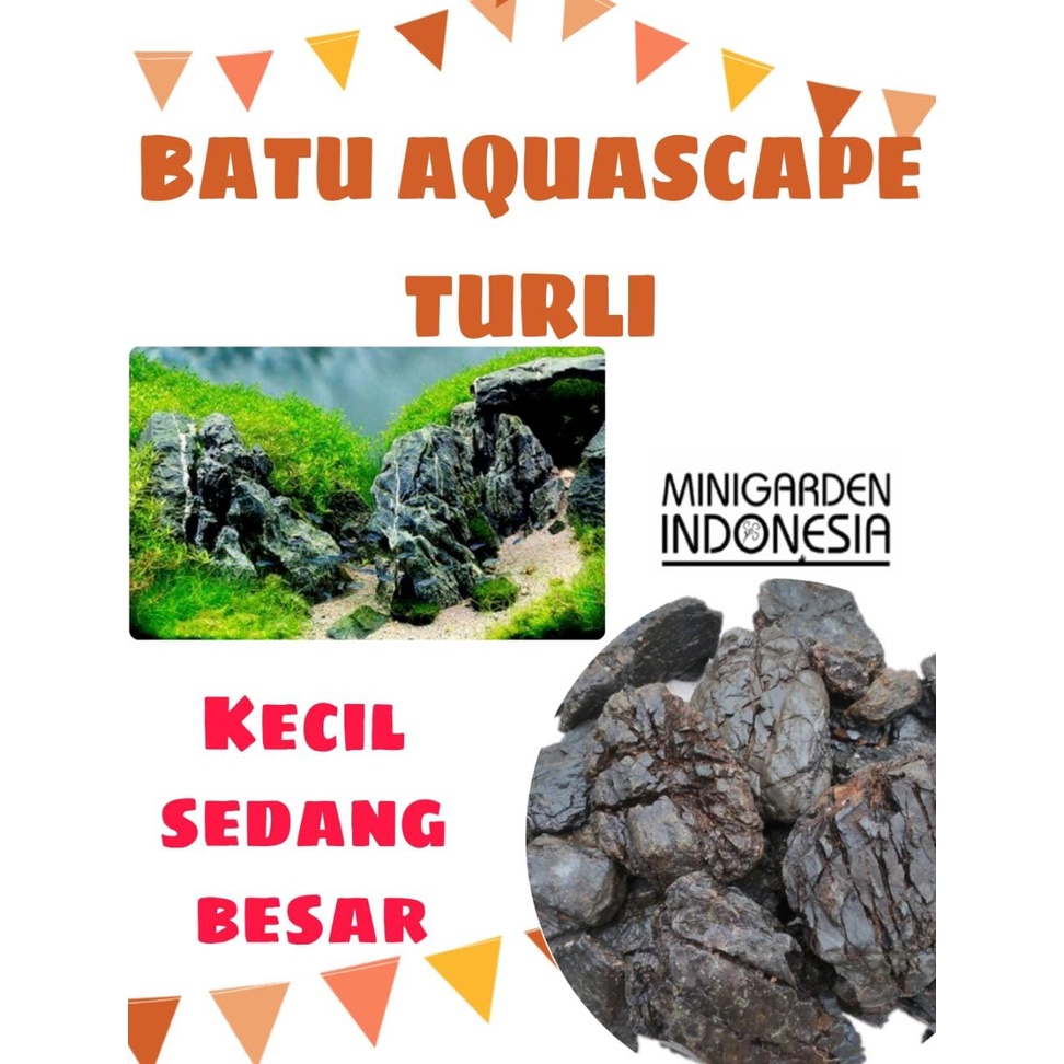  Batu Turly