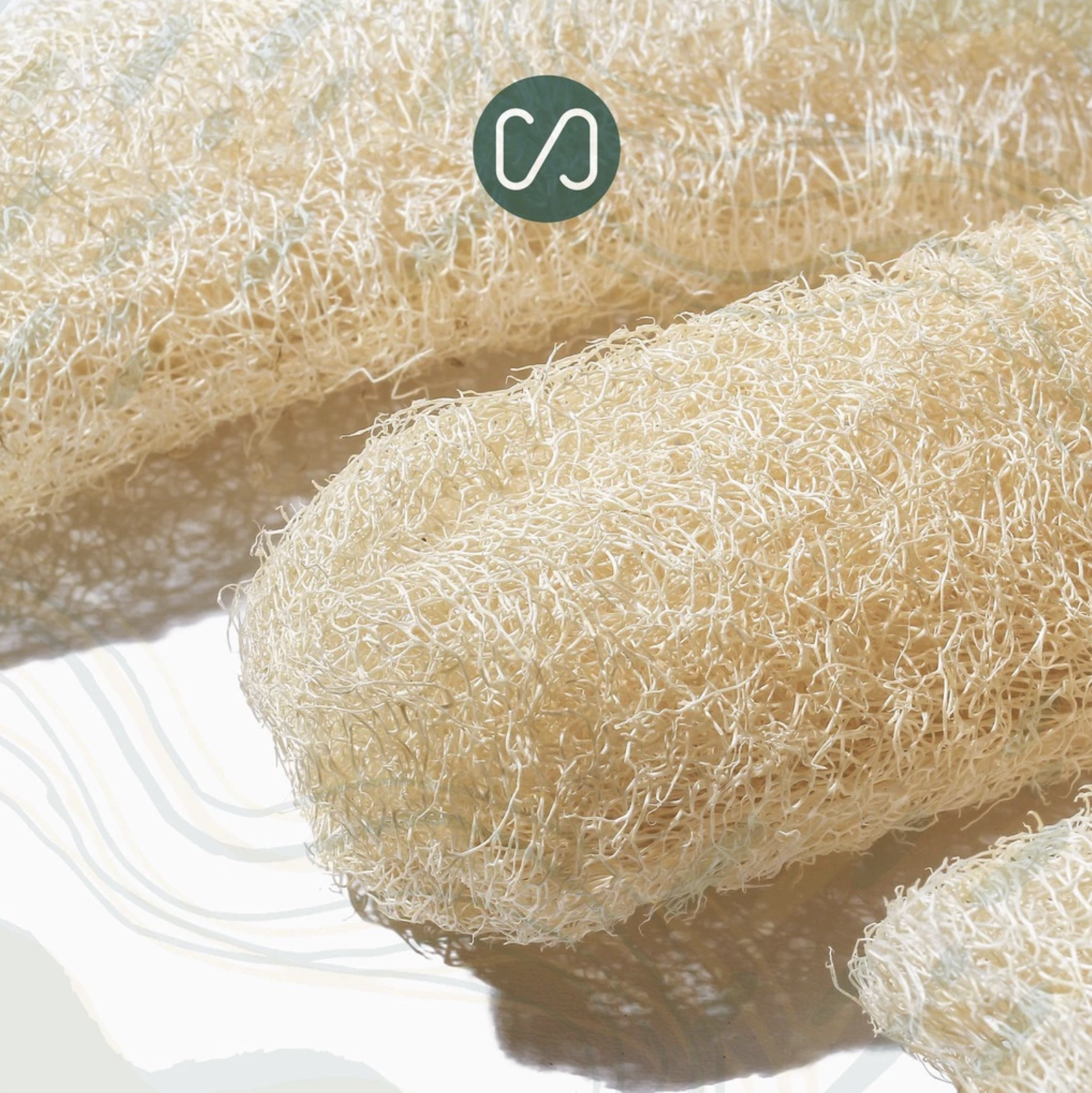 Lingkar Hijau Indonesia Sustaination Loofah Sponge