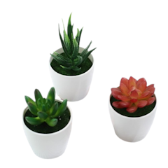 Kaktus Mini Plastik